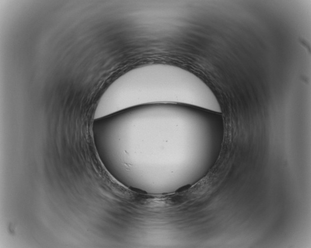 X0000103140320200808221110