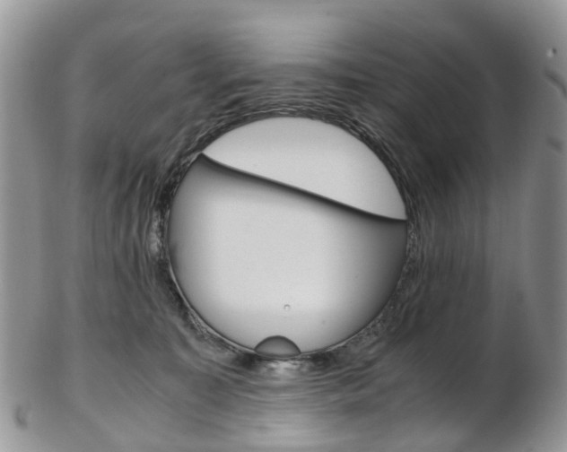 X0000103140323200808221110