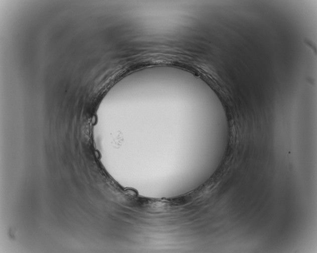 X0000103140325200808221110