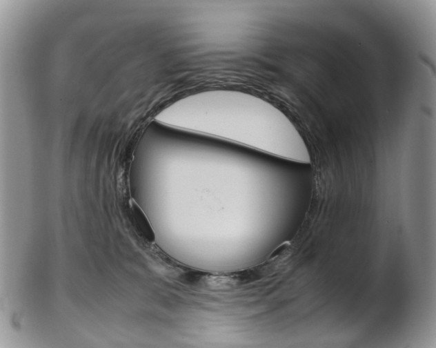 X0000103140327200808221110