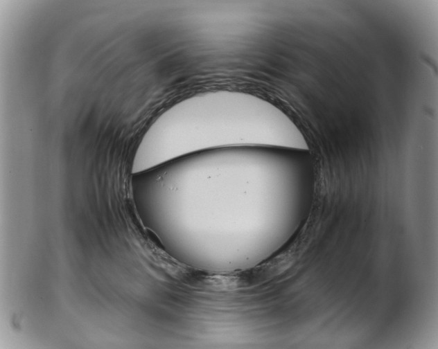 X0000103140328200808221110