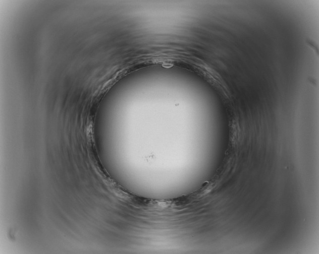 X0000103140329200808221110