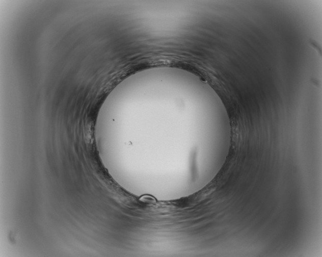 X0000103140331200808221110