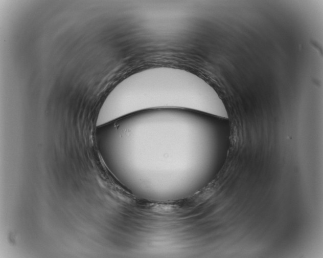 X0000103140332200808221110