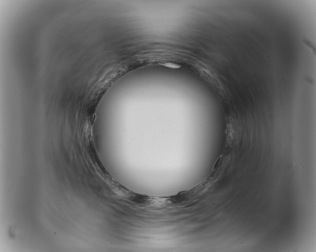 X0000103140333200808221110