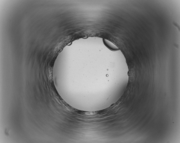 X0000103140335200808221110