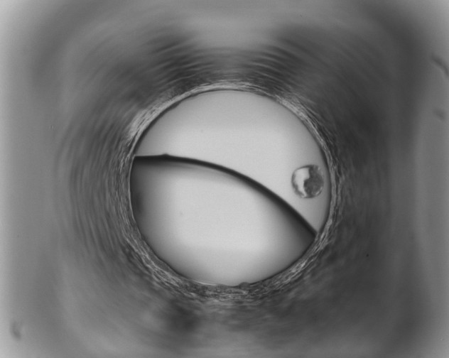 X0000103140337200808221109