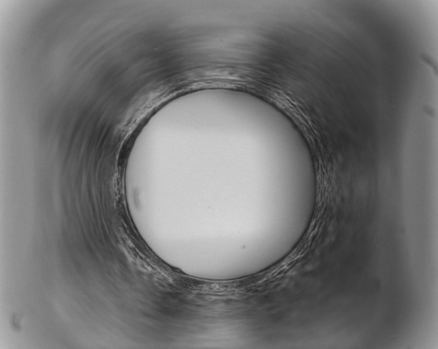 X0000103140338200808221109