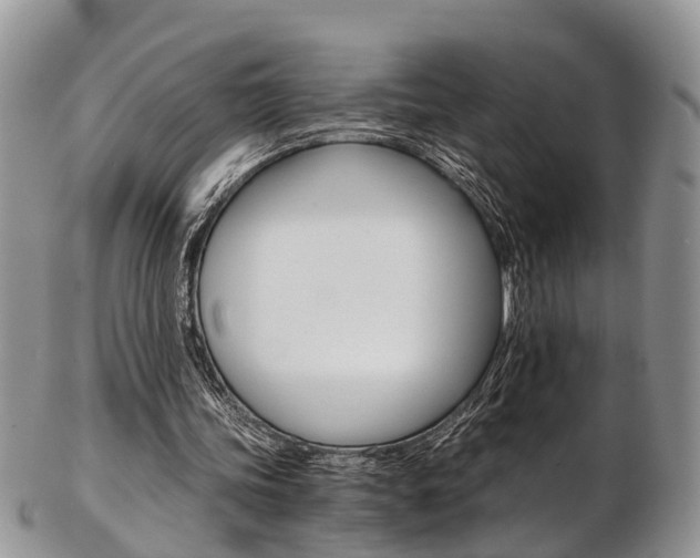 X0000103140339200808221109