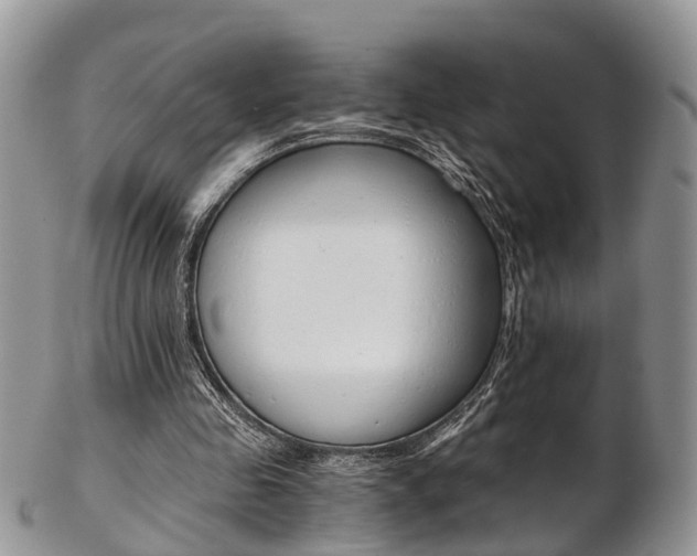 X0000103140341200808221109