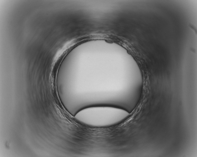 X0000103140343200808221109