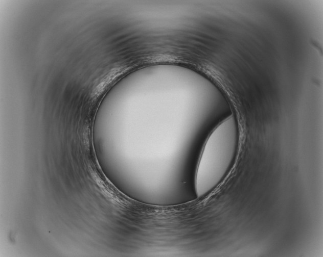 X0000103140345200808221109