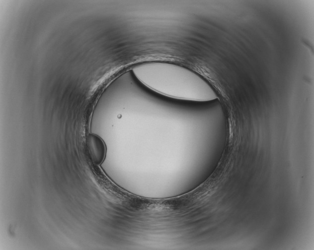 X0000103140348200808221109