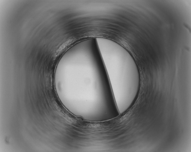 X0000103140349200808221109