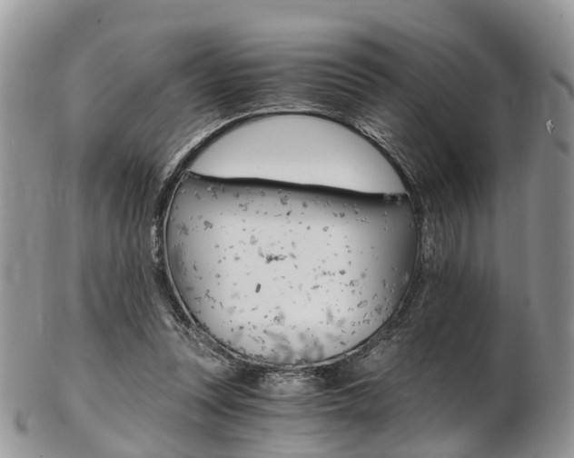 X0000103140351200808221109
