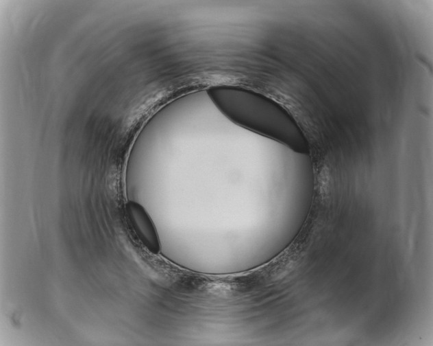 X0000103140352200808221109