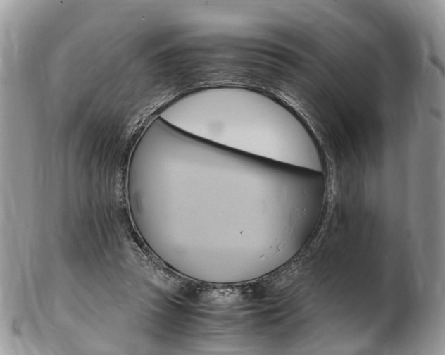 X0000103140353200808221109