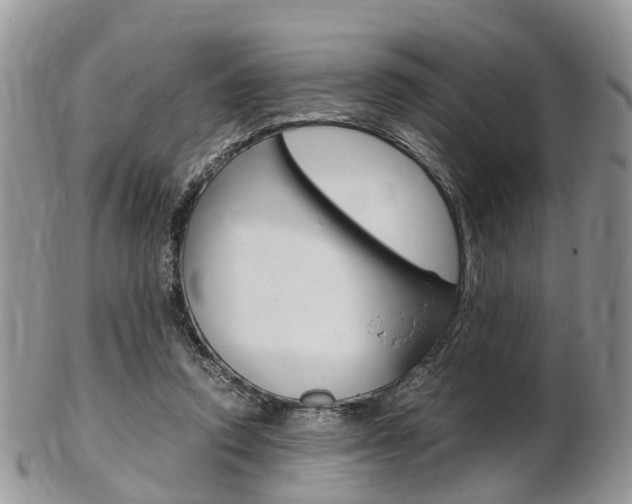 X0000103140354200808221109