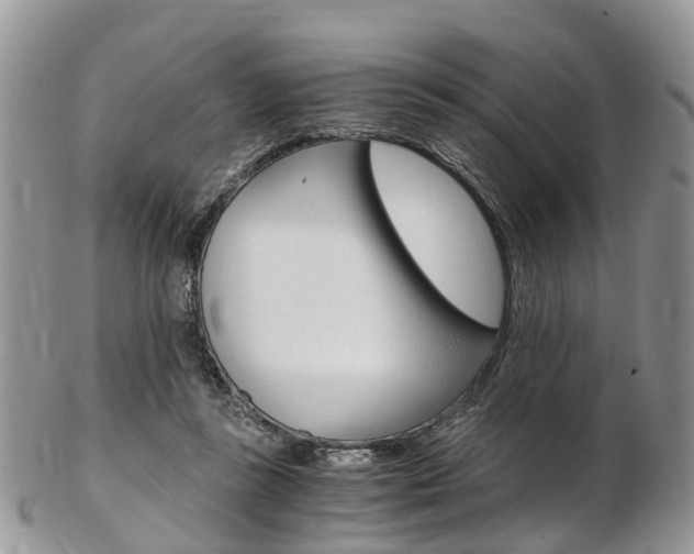 X0000103140355200808221109
