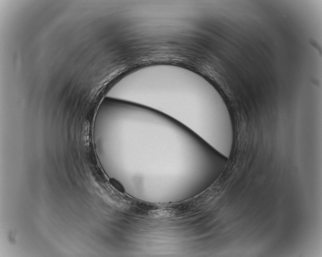 X0000103140356200808221109