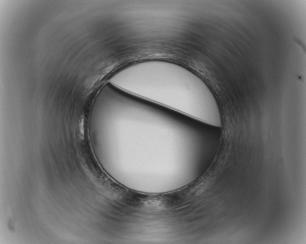 X0000103140358200808221109