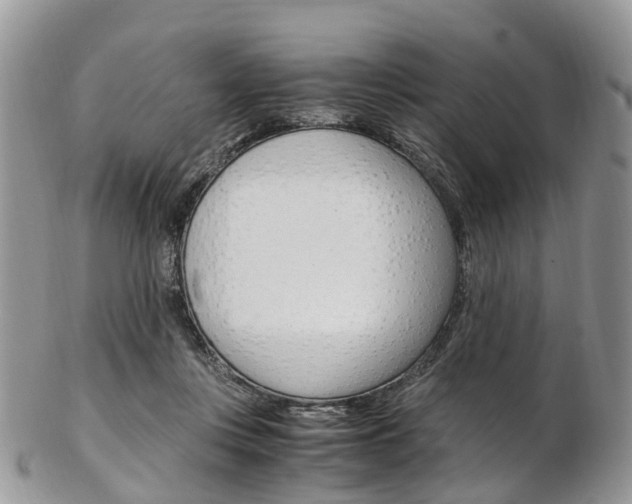 X0000103140359200808221109