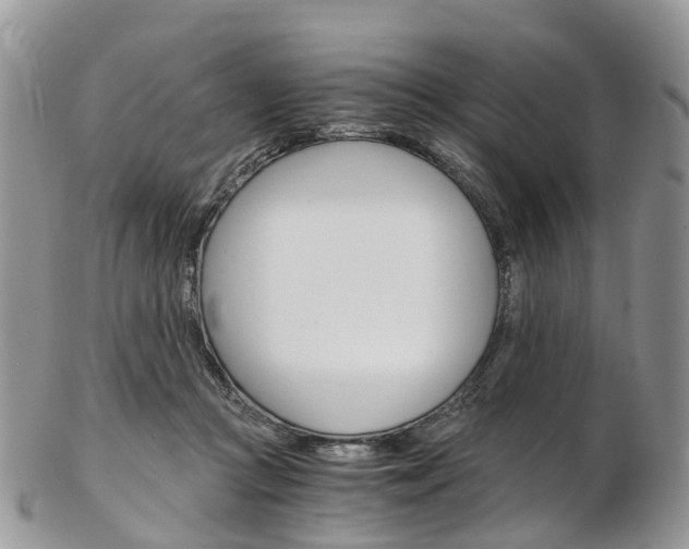 X0000103140361200808221109
