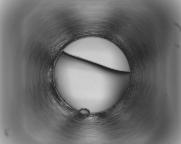 X0000103140364200808221109