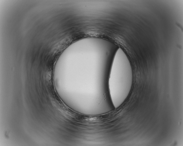 X0000103140365200808221109