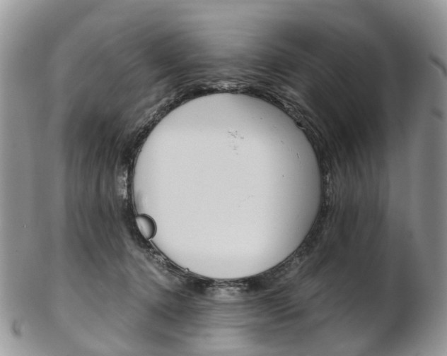 X0000103140368200808221109