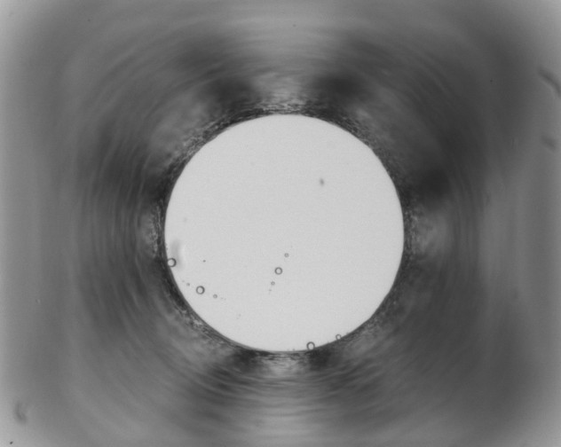 X0000103140370200808221110