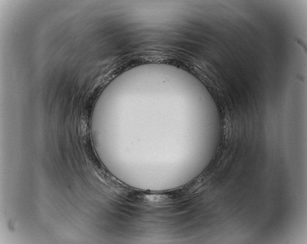 X0000103140371200808221110