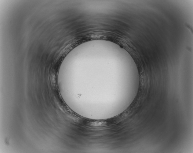 X0000103140375200808221110