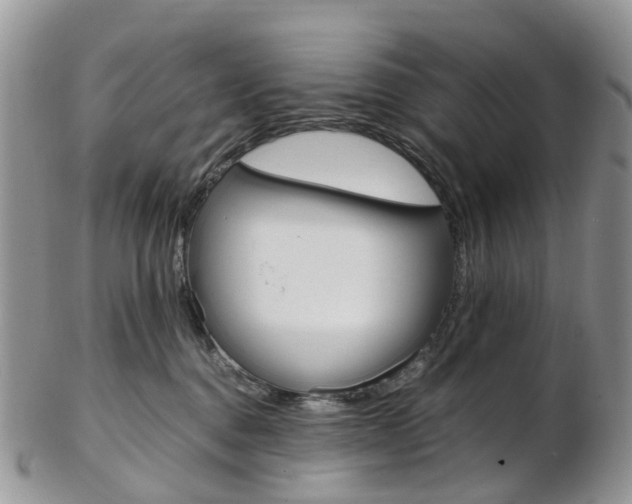 X0000103140376200808221110