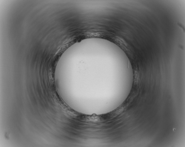 X0000103140377200808221110