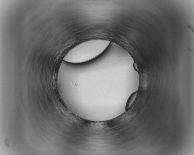 X0000103140378200808221110