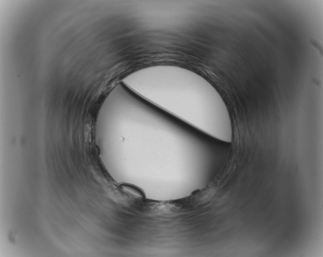 X0000103140379200808221110