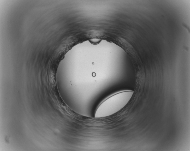 X0000103140380200808221110