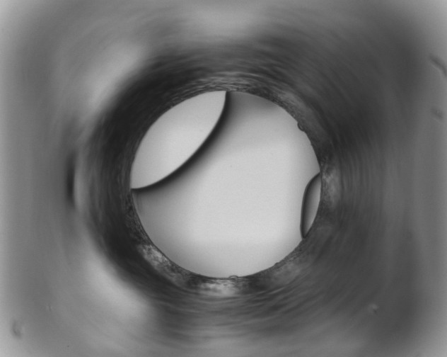 X0000103140381200808221110