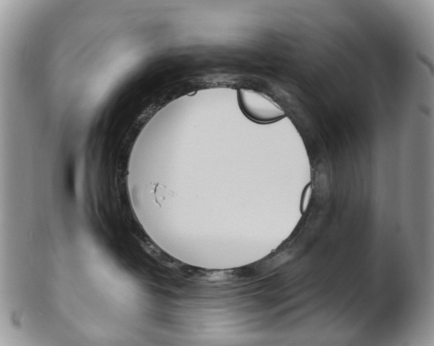 X0000103140382200808221110