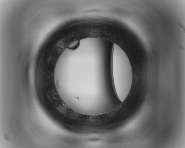 X0000103140383200808221110