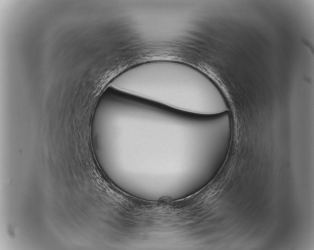 X0000103140385200808221109