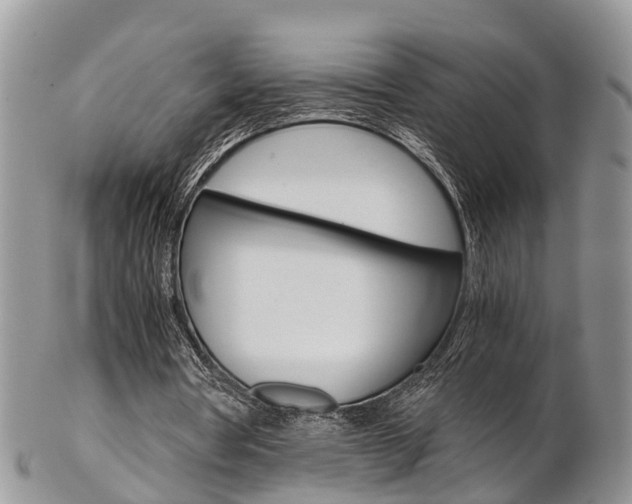 X0000103140386200808221109