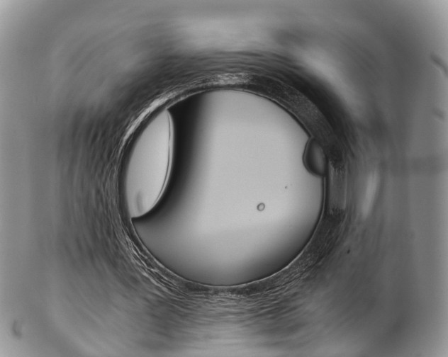 X0000103140387200808221109