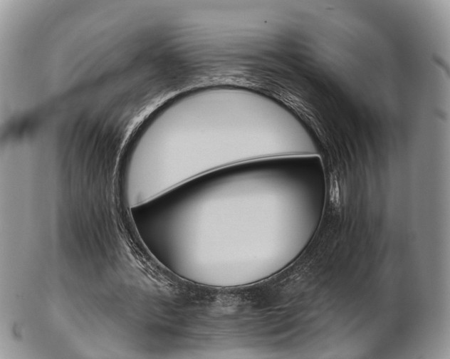 X0000103140388200808221109