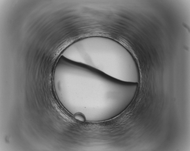 X0000103140389200808221109