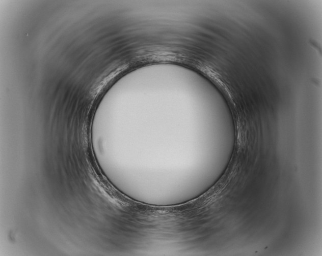 X0000103140390200808221109