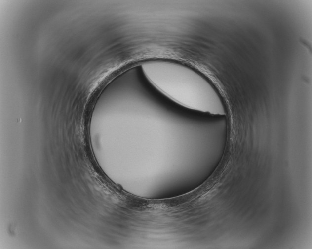 X0000103140391200808221109