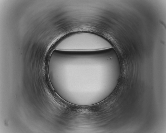 X0000103140392200808221109