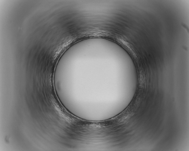 X0000103140394200808221109